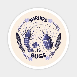 Shrimps is bugs Magnet